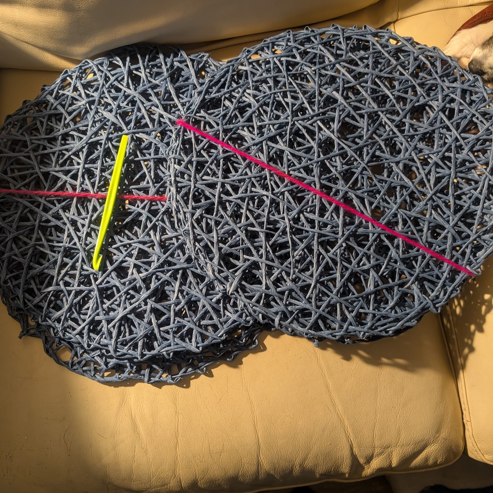 Blue Woven Placemats Set